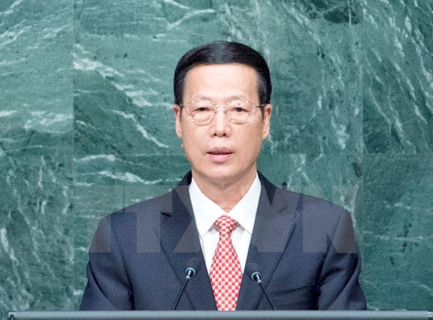 China-ASEAN cooperation sees great progress: Chinese Vice Premier ảnh 1