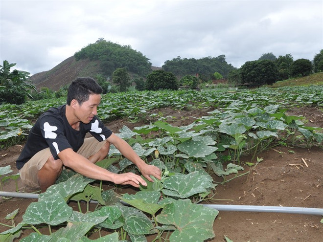 Ethnic minority youth inspired by Israeli farms ảnh 1