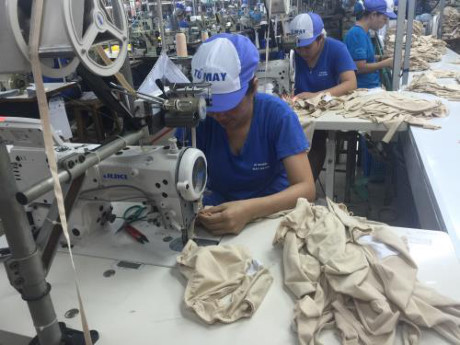Apparel exports predicted to hit 30.5 billion USD ảnh 1