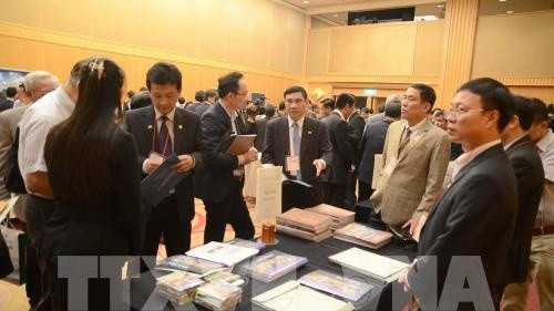 Japanese firms seek investment opportunities in Vietnam ảnh 1