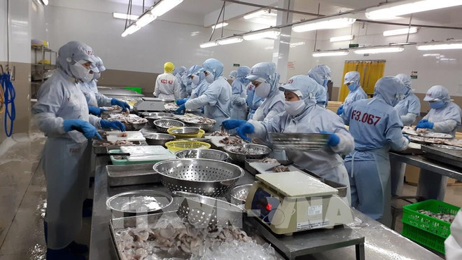 Agricultural sector persists with 50 billion USD export target ảnh 2 Agricultural sector persists with 50 billion USD export target ảnh 2