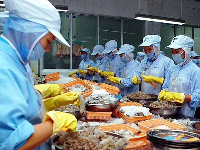 Vietnam runs trade surplus of 3 billion USD with UAE ảnh 2 Vietnam runs trade surplus of 3 billion USD with UAE ảnh 2