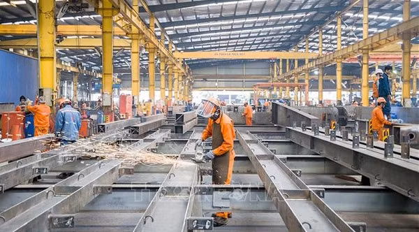 Important achievements recorded in domestic economic situation in eight months: MPI ảnh 1