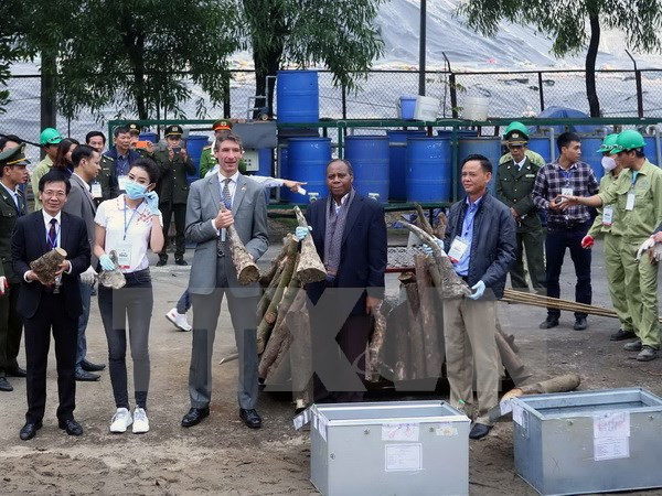 Over 100kg of suspected rhino horn seized in Hanoi ảnh 1 Over 100kg of suspected rhino horn seized in Hanoi ảnh 1