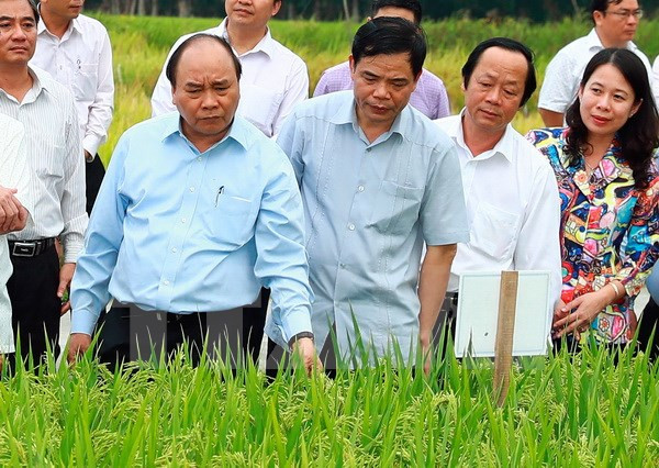 An Giang asked to improve food products for export ảnh 1
