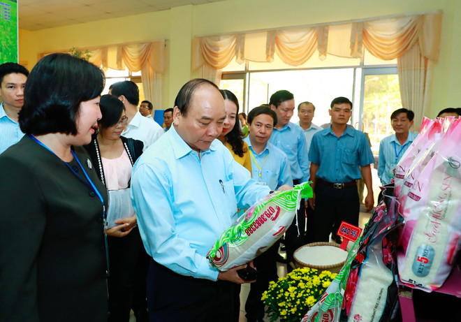 It’s time to reform Vietnam’s rice sector, says Prime Minister ảnh 1 It’s time to reform Vietnam’s rice sector, says Prime Minister ảnh 1