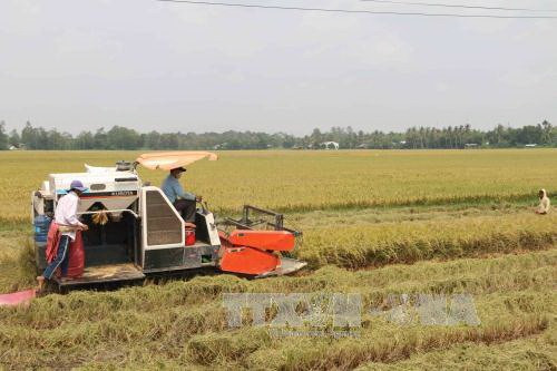 VN agricultural sector urged to modernise technology ảnh 1