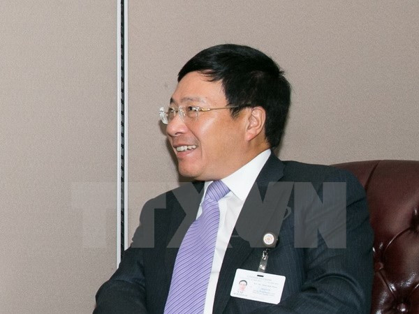 Deputy PM calls for Cameroon’s support to Vietnamese investors ảnh 1 Deputy PM calls for Cameroon’s support to Vietnamese investors ảnh 1