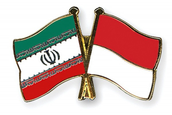 Indonesia, Iran step up multi-faceted cooperation ảnh 1