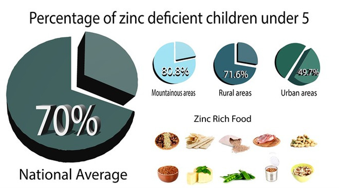 Zinc deficiency rampant in Vietnamese women, children ảnh 1
