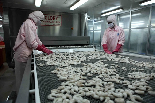 Experts stress a must for shrimp value chain ảnh 1