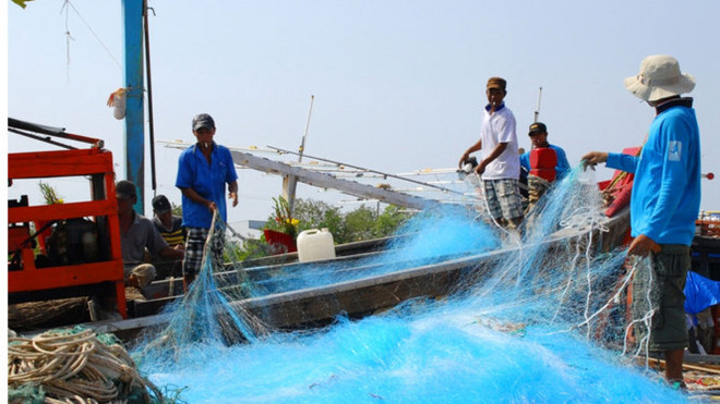 Kien Giang branches out marine economy ảnh 1