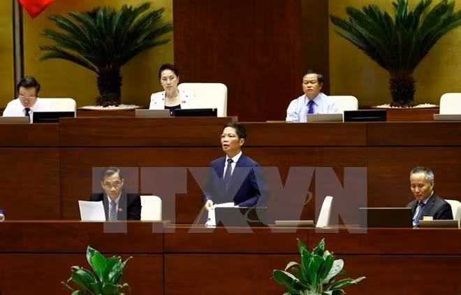 National Assembly debates draft foreign trade management bill ảnh 1