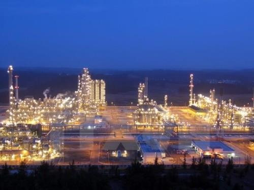  Dung Quat Refinery plans for IPO ảnh 1