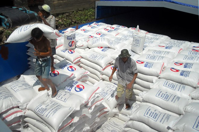 TPP to help Vietnam balance trade relations: economists ảnh 1