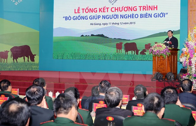 Breeding cow programme helps poor households in border localities ảnh 1
