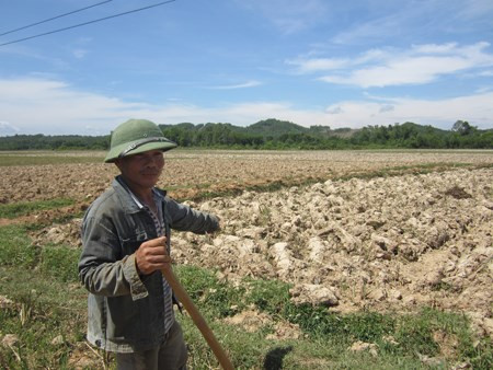 Drought hits Vietnam’s southern localities ảnh 1