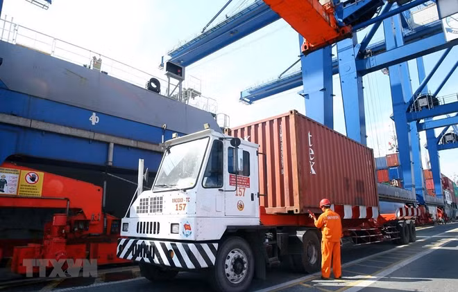 Imported automobiles up over 52 percent in 2021 ảnh 1