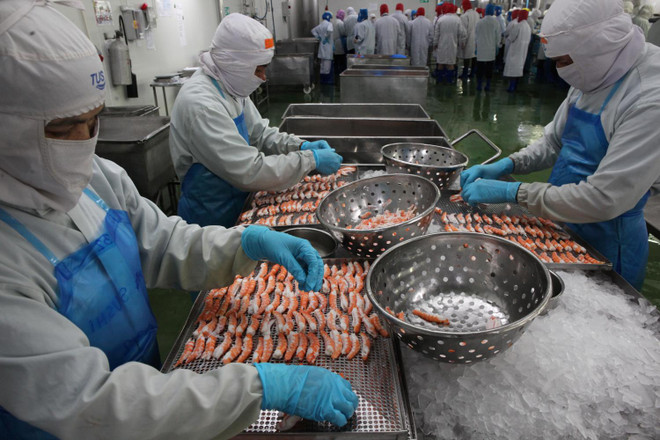 Thailand’s food export predicted to grow by 8.4 pct in 2022 ảnh 1