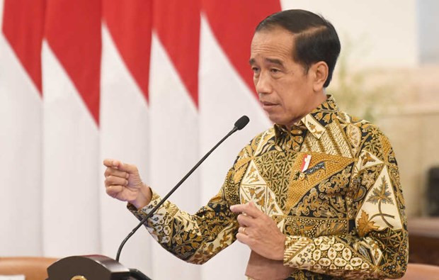 Indonesia pushes for formation of new global health agency: President ảnh 1
