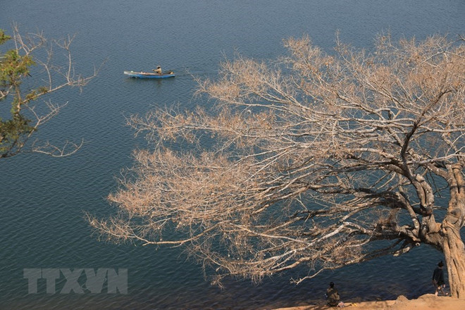 Gia Lai – Ideal place for travelers wanting to explore wild nature ảnh 1 Gia Lai – Ideal place for travelers wanting to explore wild nature ảnh 1