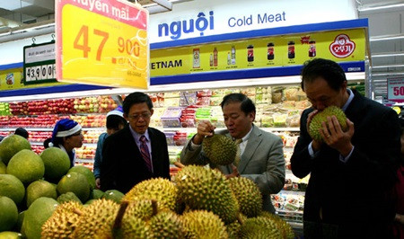 Vietnam needs production chain in agriculture ảnh 1