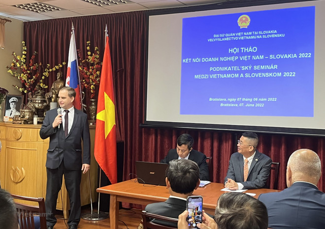 Seminar seeks to promote Vietnam-Slovakia trade ảnh 1