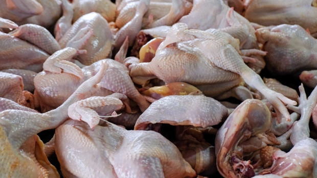Malaysia partially lifts chicken export ban ảnh 1