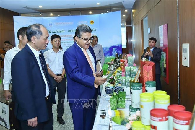 Workshop seeks to boost Lai Chau’s tea exports ảnh 1