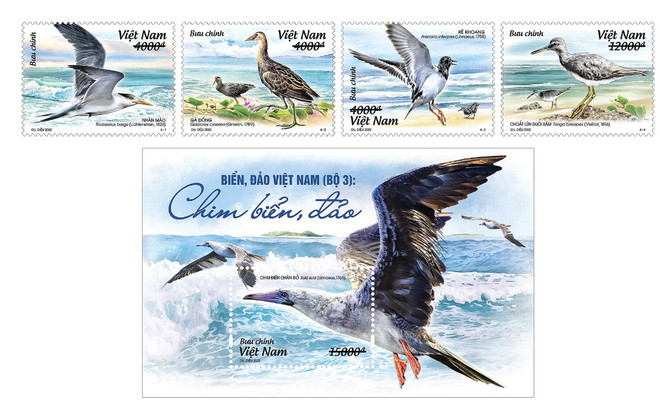 Postage stamps featuring sea birds to be issued ảnh 1