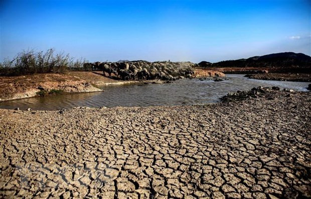 Vietnam seeks to effectively prevent land degradation, desertification ảnh 1