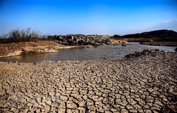 Vietnam seeks to effectively prevent land degradation, desertification ảnh 1