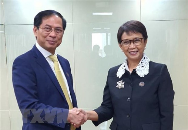 Vietnam, Indonesia, Brunei agree to bolster ties ảnh 1