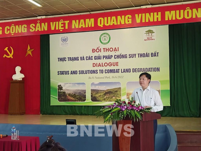 Vietnam seeks to effectively prevent land degradation, desertification ảnh 2