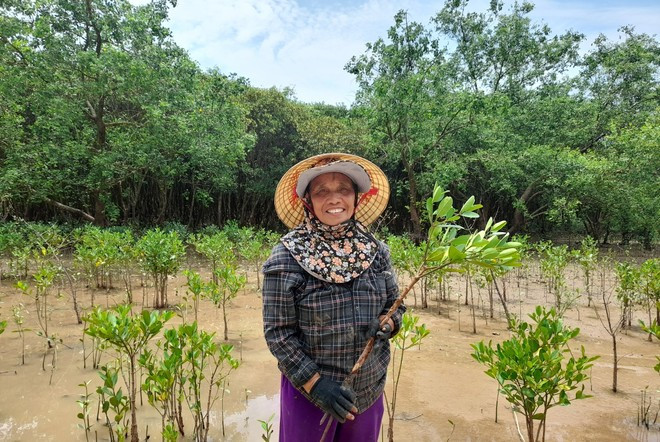 UNDP lauds Vietnam's efforts in disaster risk reduction ảnh 3