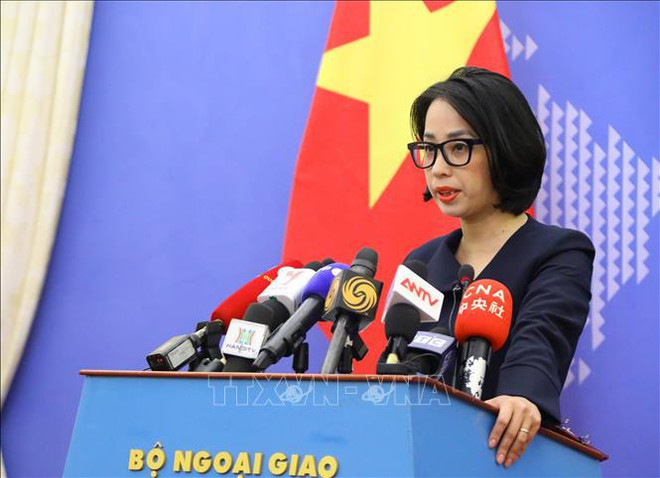Vietnam to send representatives to 15th BRICS Summit ảnh 1