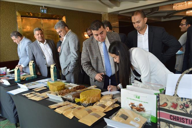 Firms asked to prepare contracts carefully before exporting to Egypt: official ảnh 1 Firms asked to prepare contracts carefully before exporting to Egypt: official ảnh 1