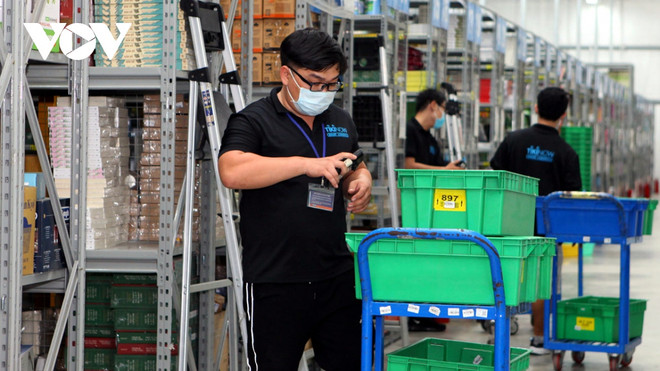 E-commerce urged to go green to ease environmental impact ảnh 2