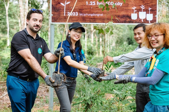 Airbus partners with French Chamber of Commerce, local NGO for community forest project in Vietnam ảnh 1 Airbus partners with French Chamber of Commerce, local NGO for community forest project in Vietnam ảnh 1