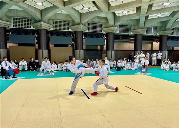 Karate tournament organised for overseas Vietnamese in Japan ảnh 1