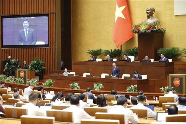 Lawmakers discuss property auction ảnh 1 Lawmakers discuss property auction ảnh 1