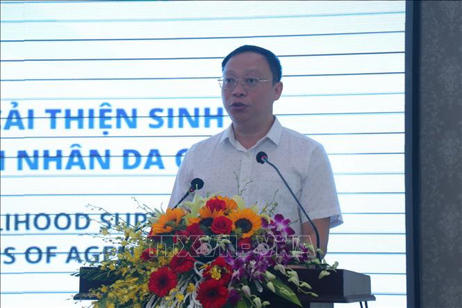 USAID-funded project improves livelihood for AO victims ảnh 1 USAID-funded project improves livelihood for AO victims ảnh 1