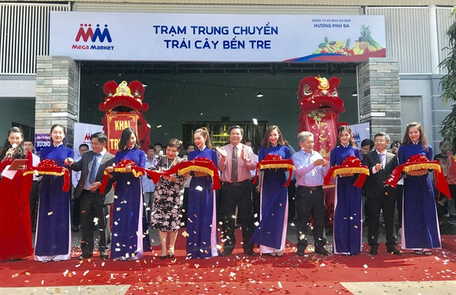 Ben Tre opens fruit, veg supply depot ảnh 1