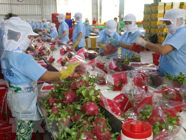 Fruit, vegetable exports valued at 3.3 billion USD ảnh 1 Fruit, vegetable exports valued at 3.3 billion USD ảnh 1