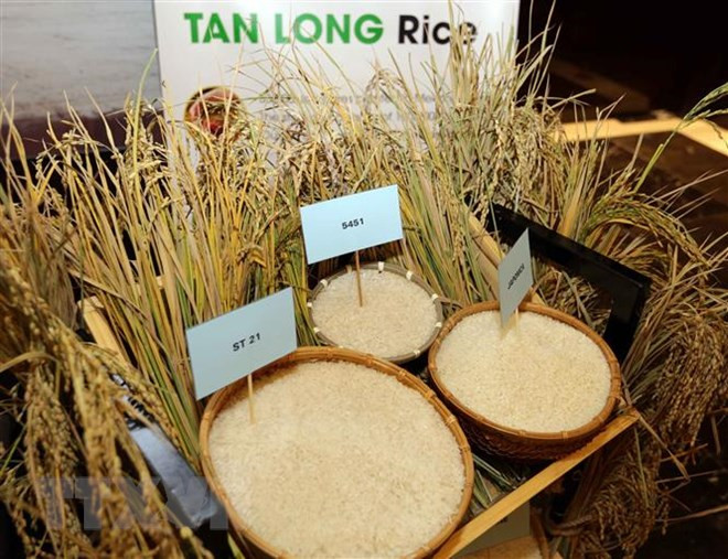 Vietnam Rice Festival 2018 to take place in Long An in December ảnh 1