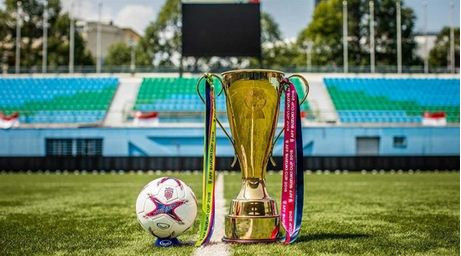 AFF Suzuki Cup Trophy Tour comes to Hanoi ảnh 1