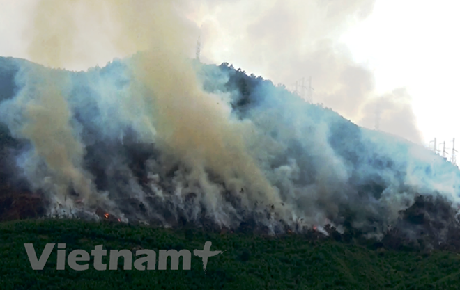 Seminar discusses joint work against climate change ảnh 1