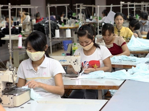 Conference seeks ways to enhance gender equality ảnh 1