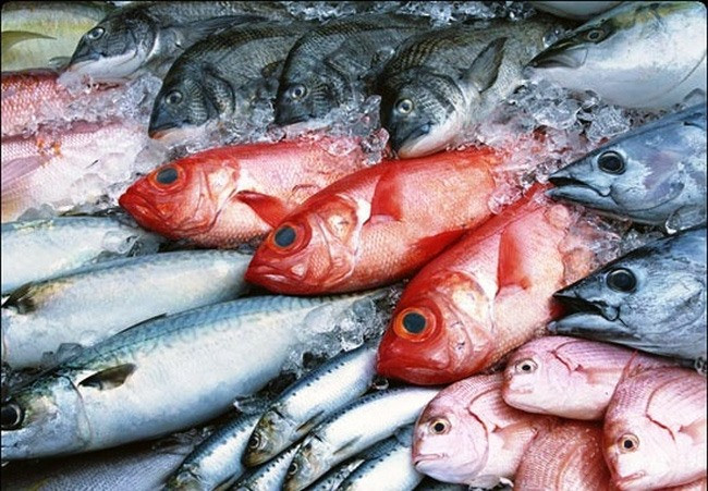 Government to pay for Formosa-polluted frozen fish ảnh 1