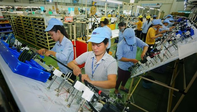 High-quality manpower could level up semiconductor development ảnh 1